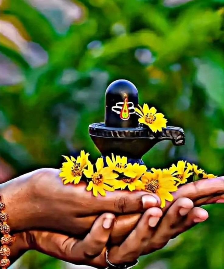 D Shivling image dp