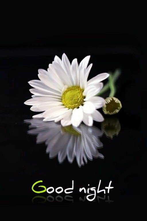 Good Night Images new HD