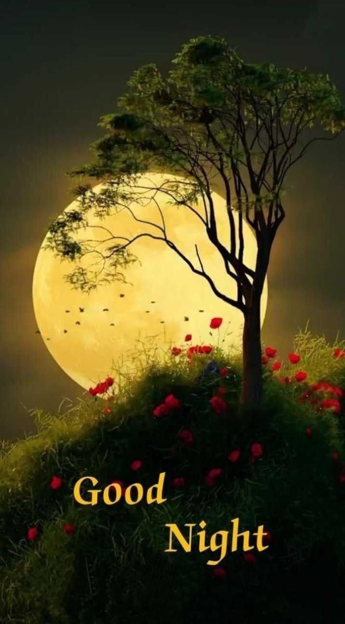 Good Night Images new HD