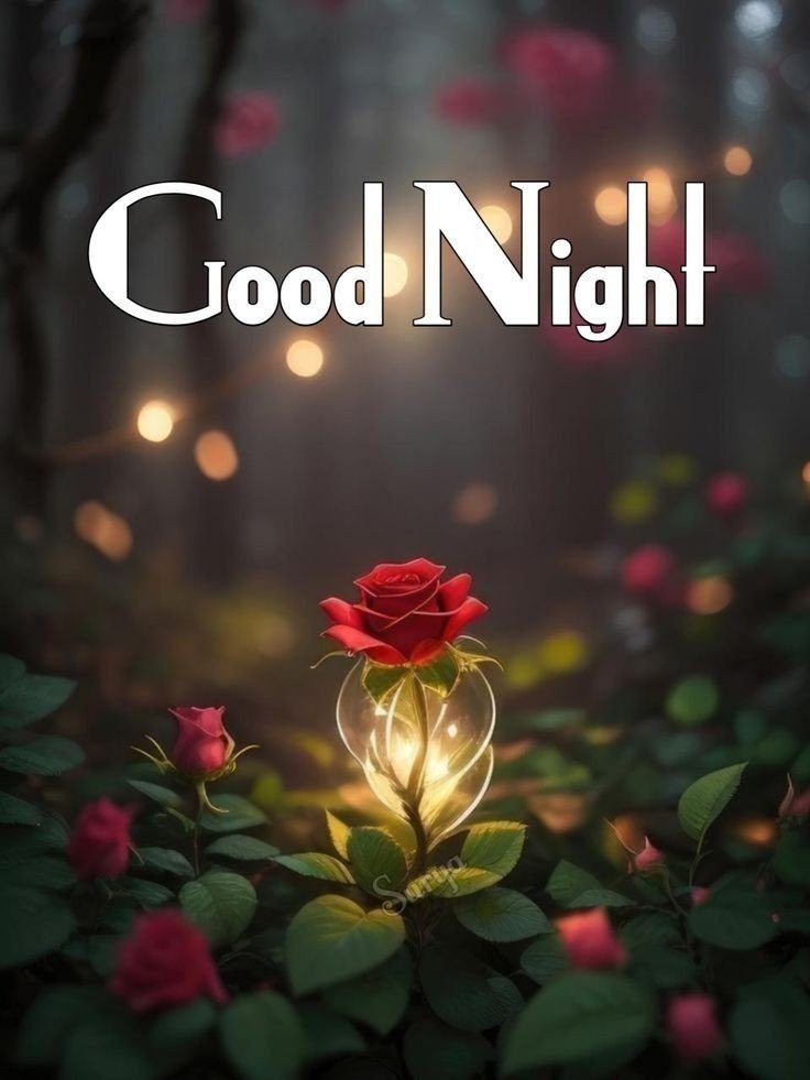 Good Night Images new HD