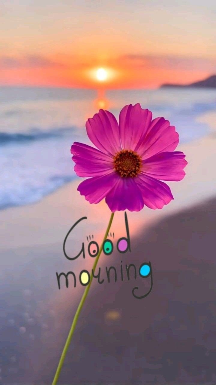 Good morning images