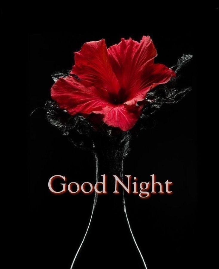 Good night images hd