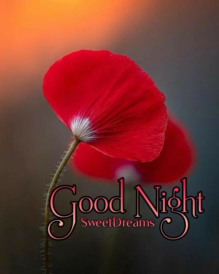 Good night images hd