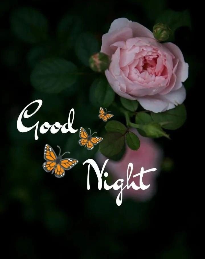 Good night images