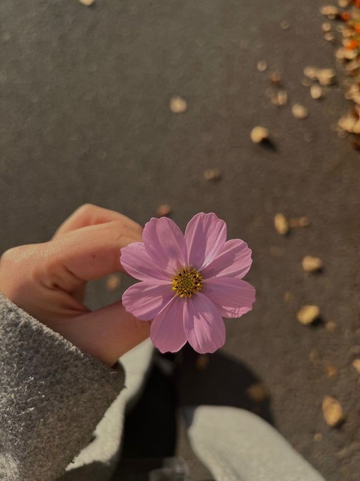 Instagram dp hd