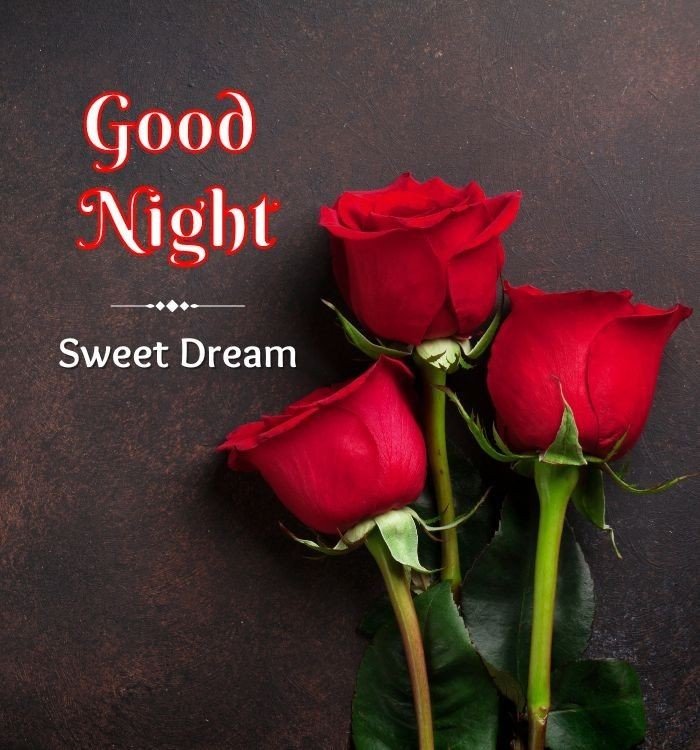 Lovely Good Night Images