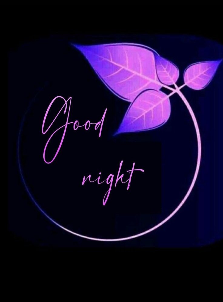 Lovely Good Night Images