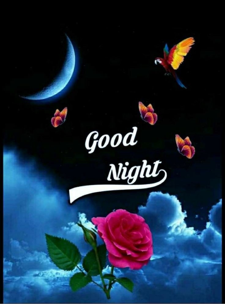 Lovely Good Night Images