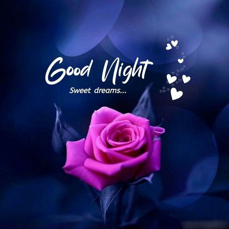 Lovely Good Night Images