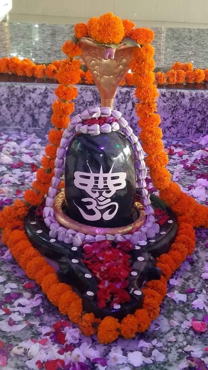 Mahadev Shivling DP