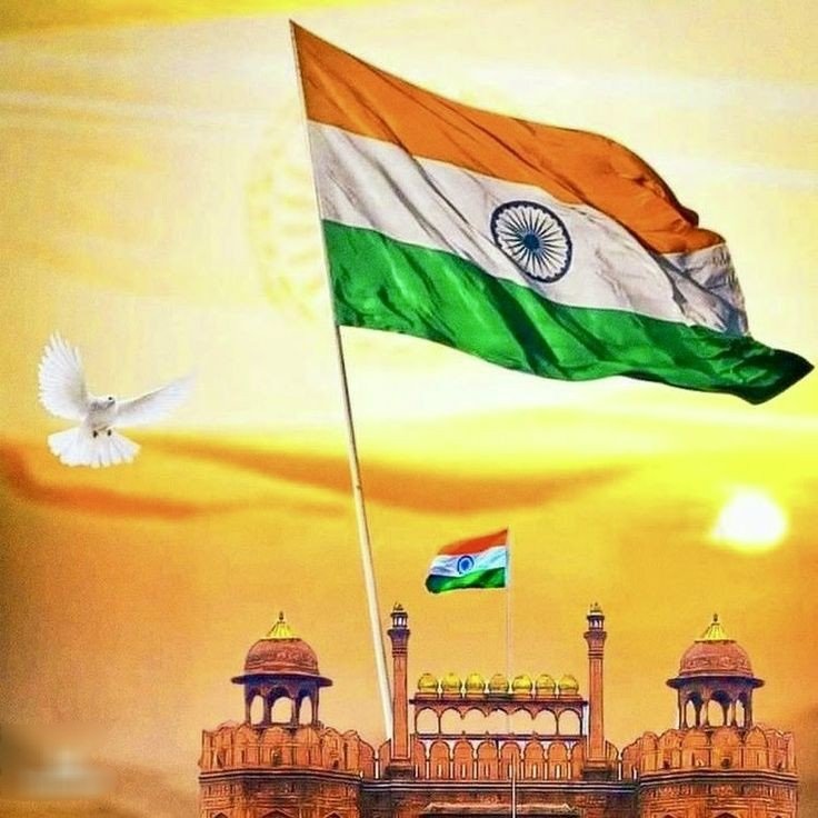Tiranga dp