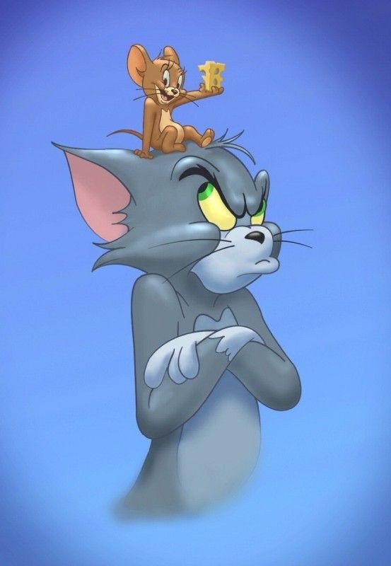 Tom and Jerry DP