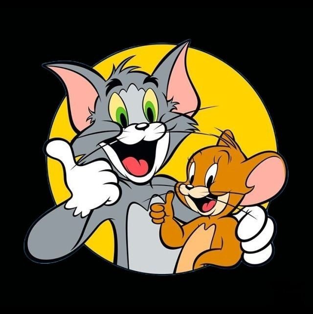 Tom and jerry dp new
