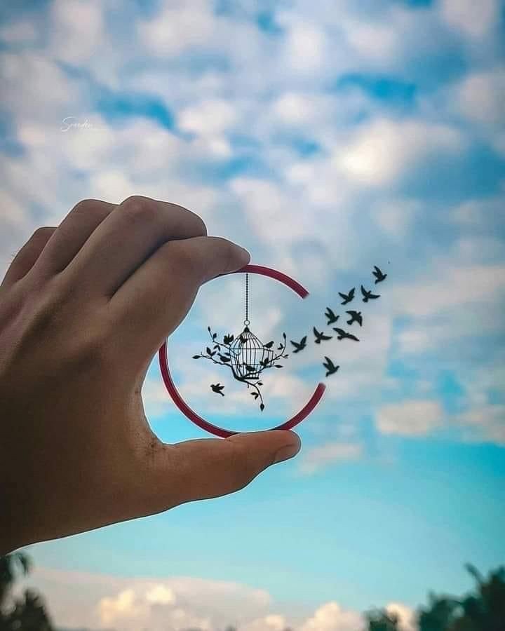Whatsapp dp
