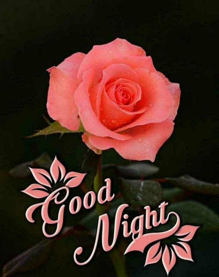 beautiful good night images