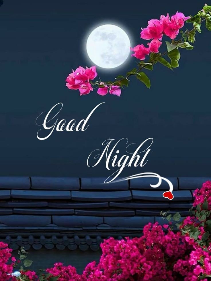beautiful good night images
