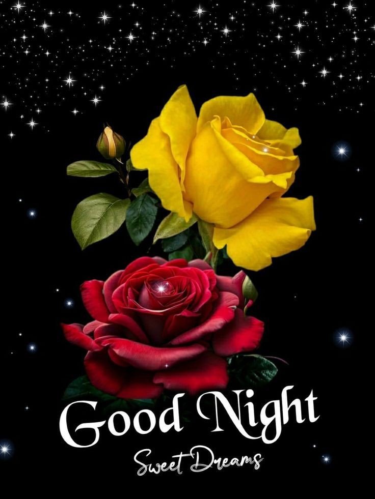 beautiful good night images