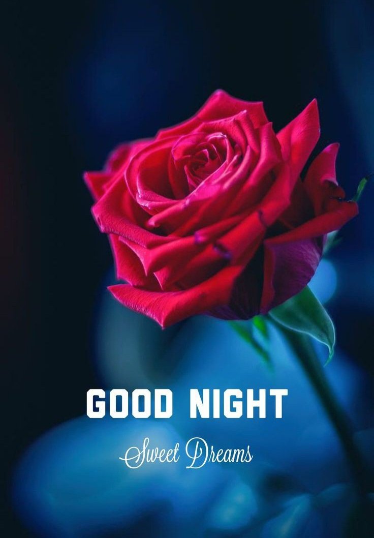 beautiful good night images