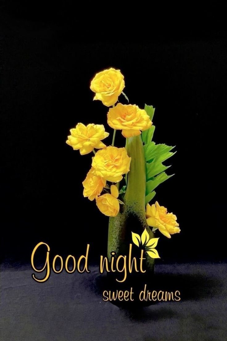 beautiful good night images