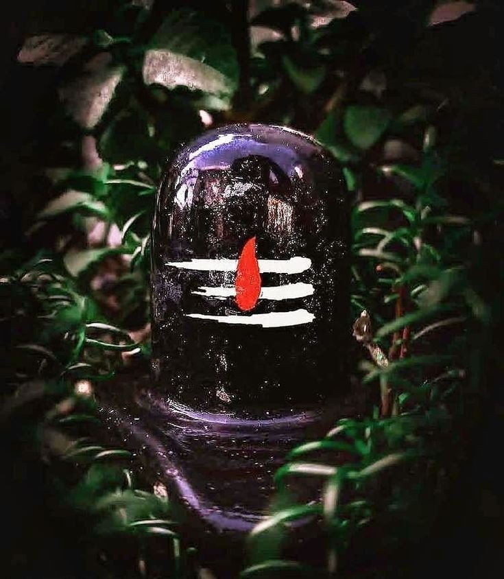 best Shivling dp