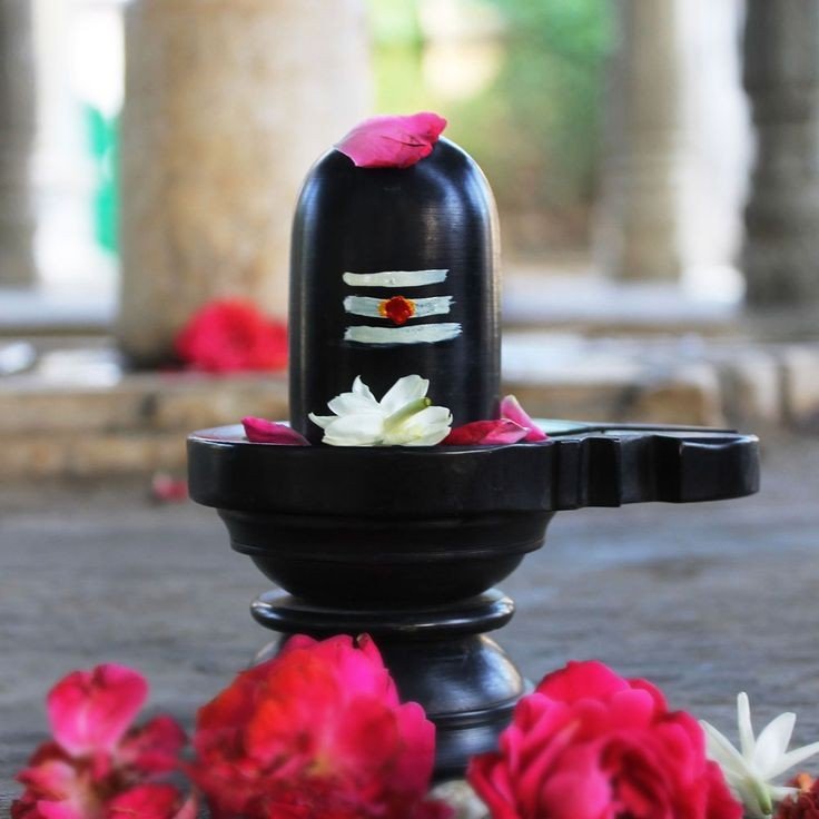 best Shivling dp