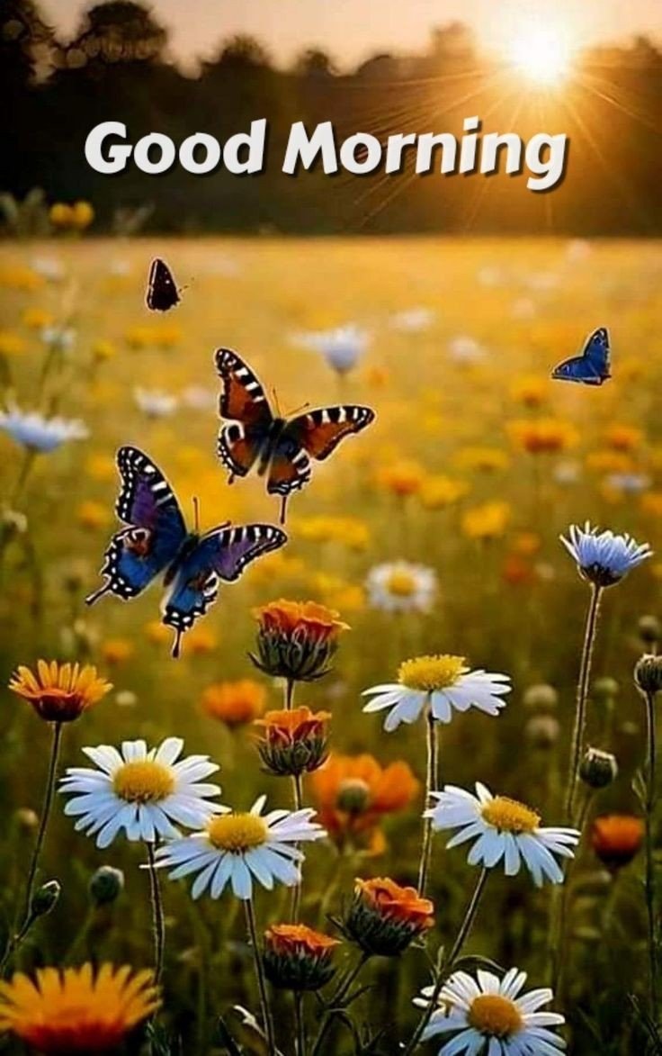 cute good morning images