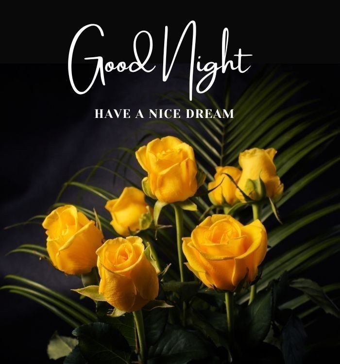 cute good night images