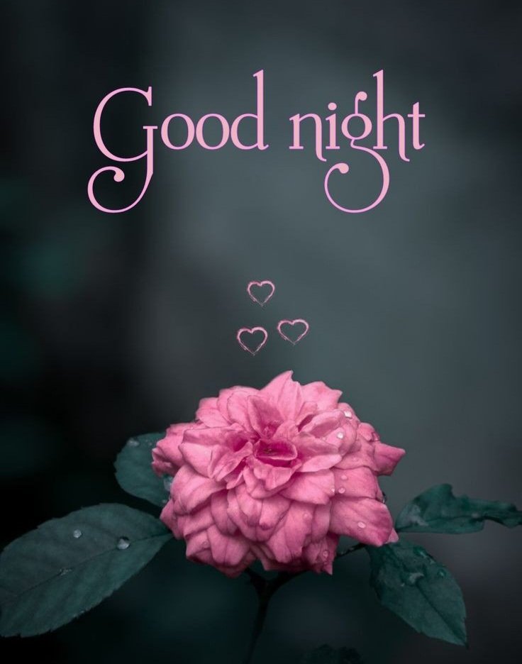 cute good night images