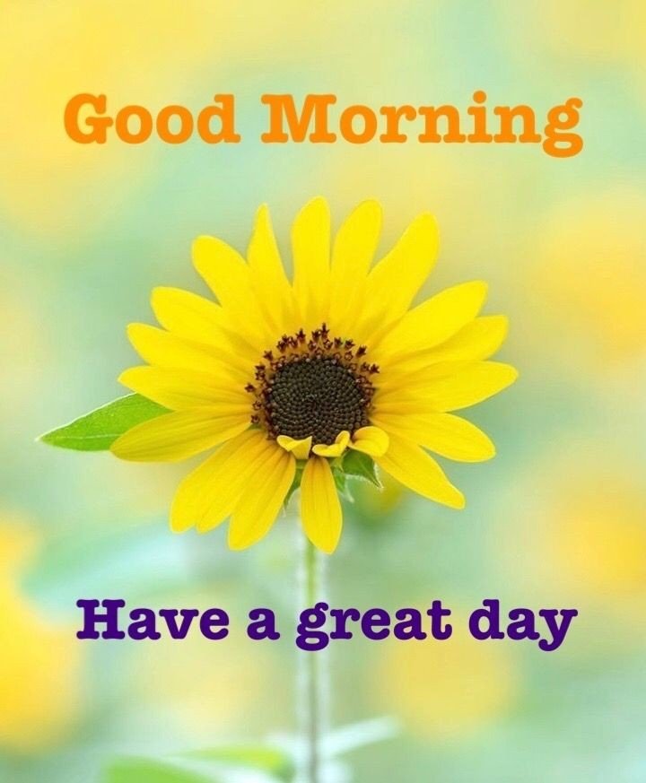 good morning images hd quality