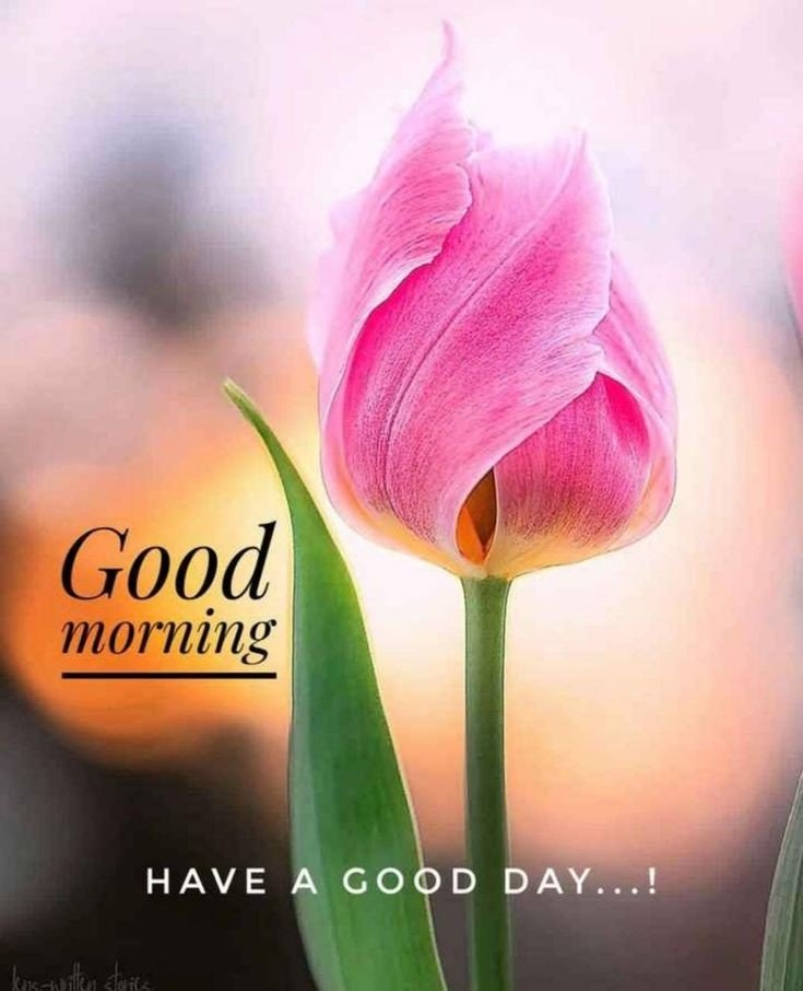 good morning images hd