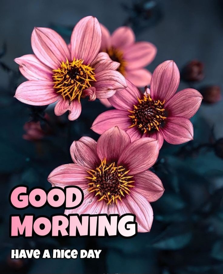 good morning images new style