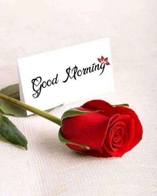 good morning images new style