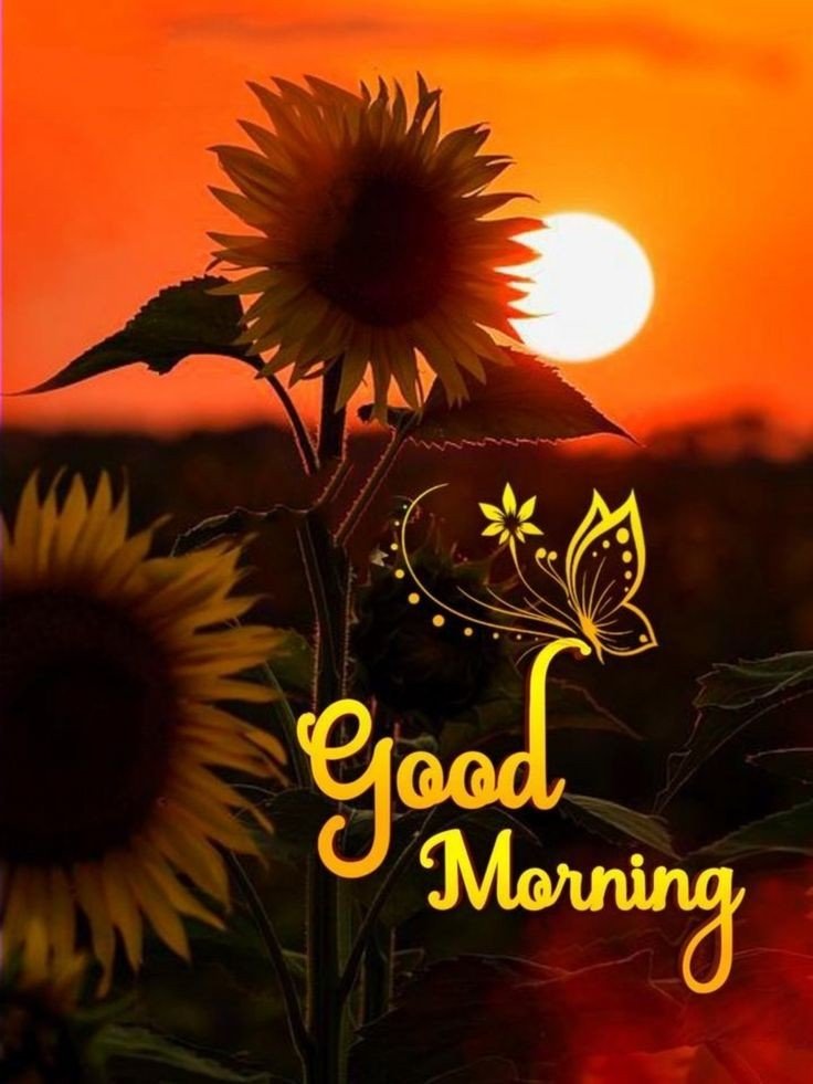 good morning images with flowers