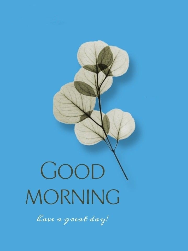 good morning images with flowers