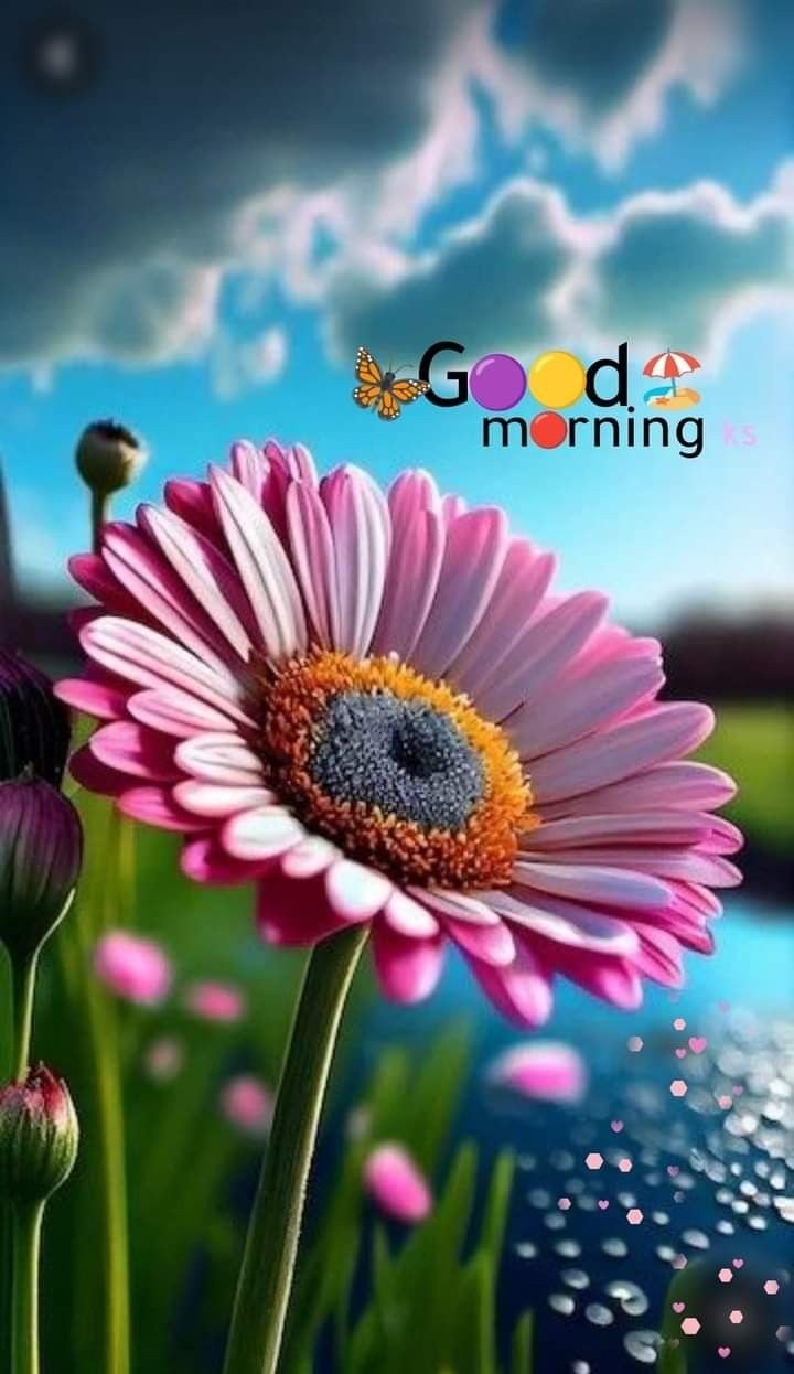 good morning photos