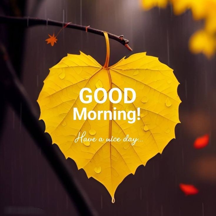 good morning photos