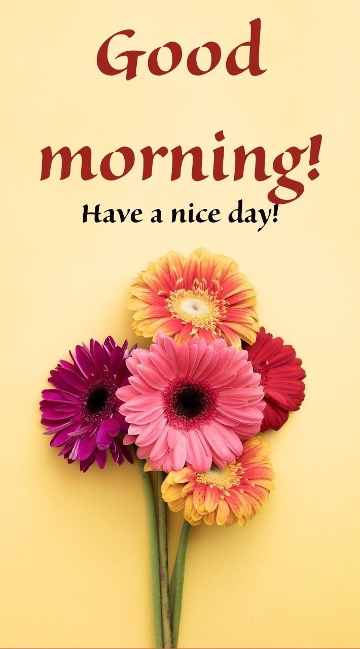 good morning photos