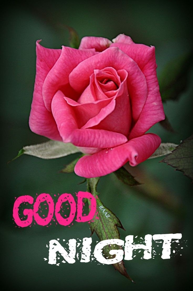 good night photos