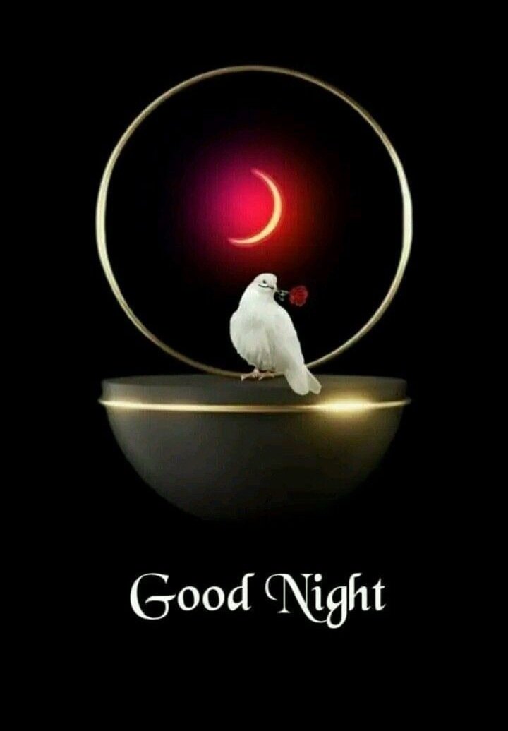 good night photos
