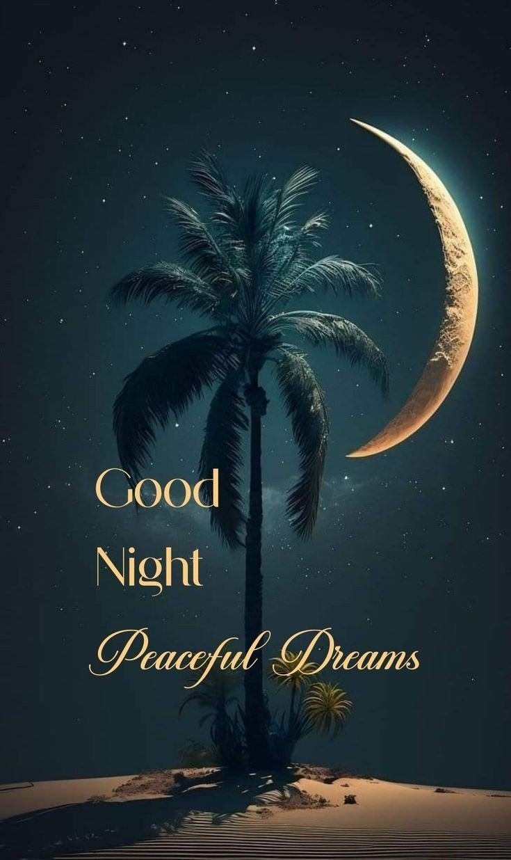 good night photos