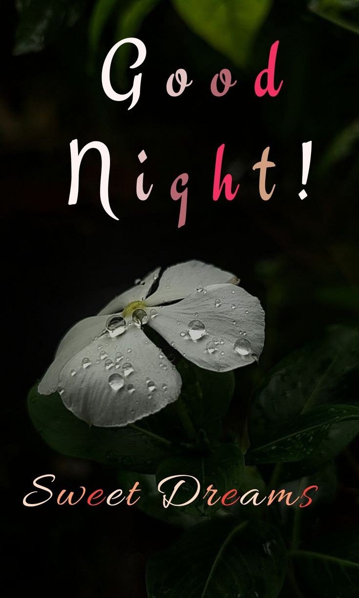 good night photos