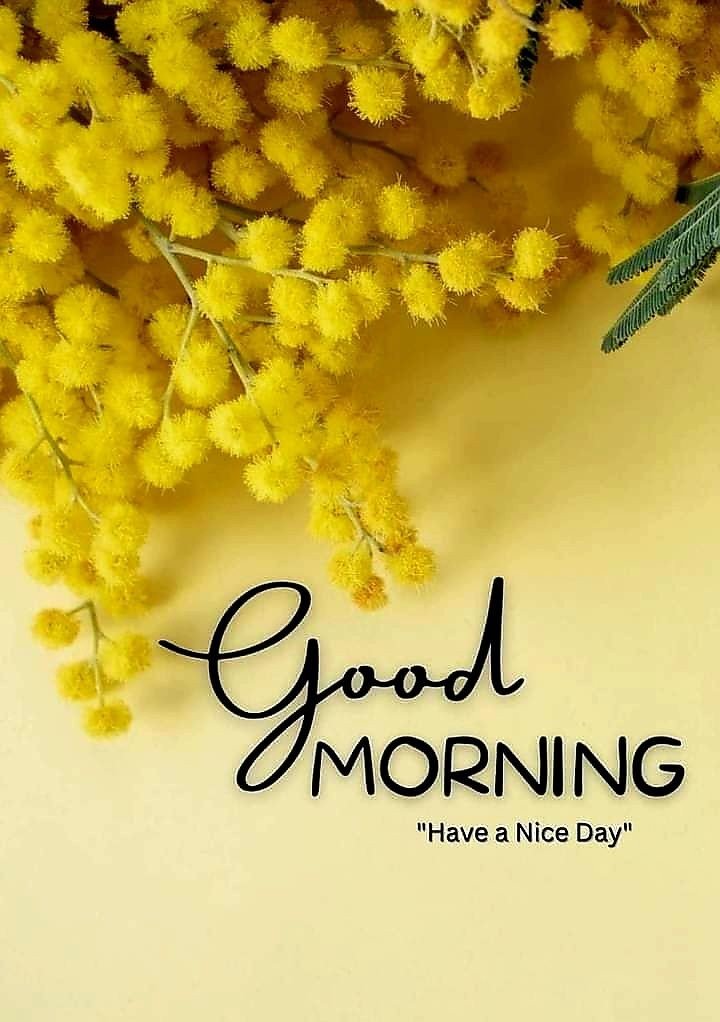new good morning images