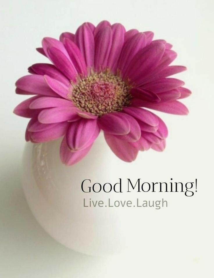 new good morning images