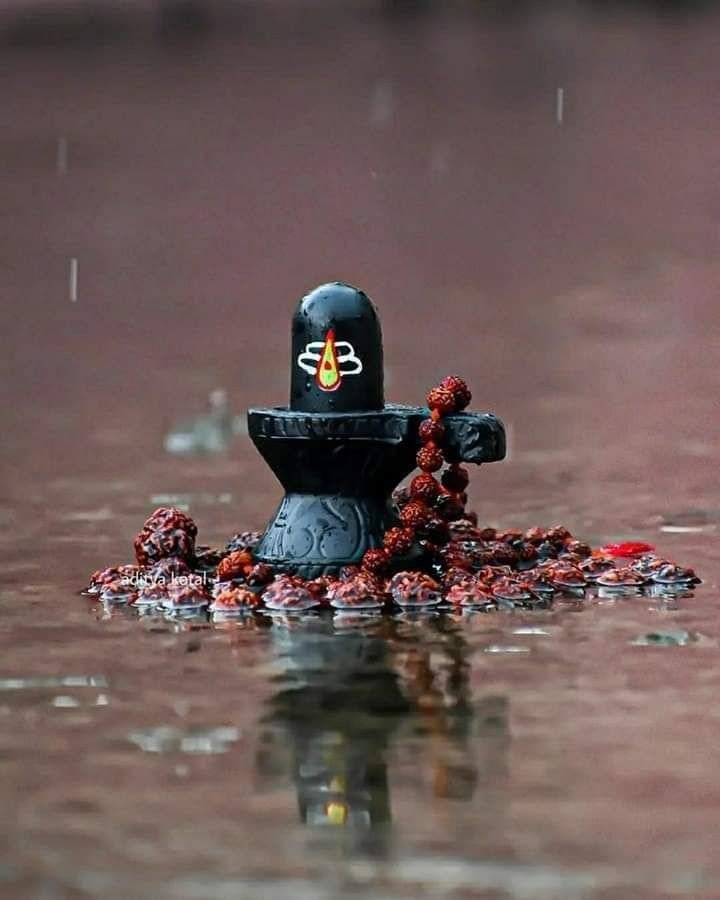 original Shivling DP
