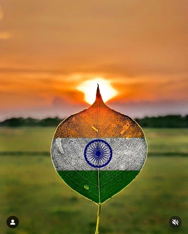 tiranga profile pic
