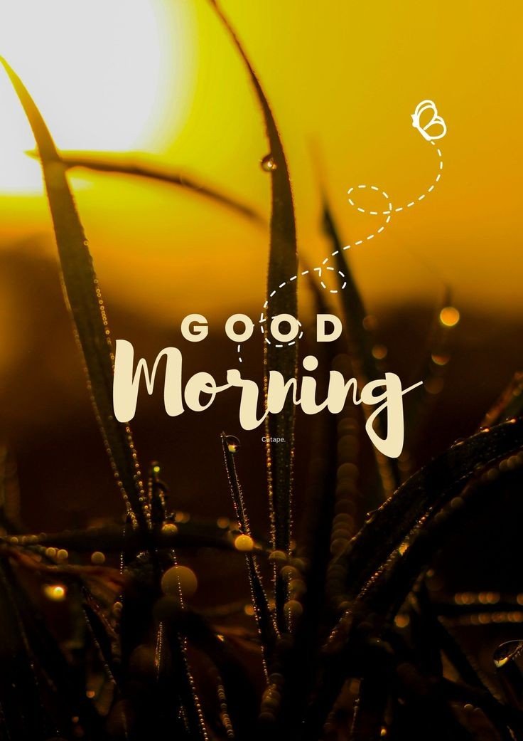 today special good morning images
