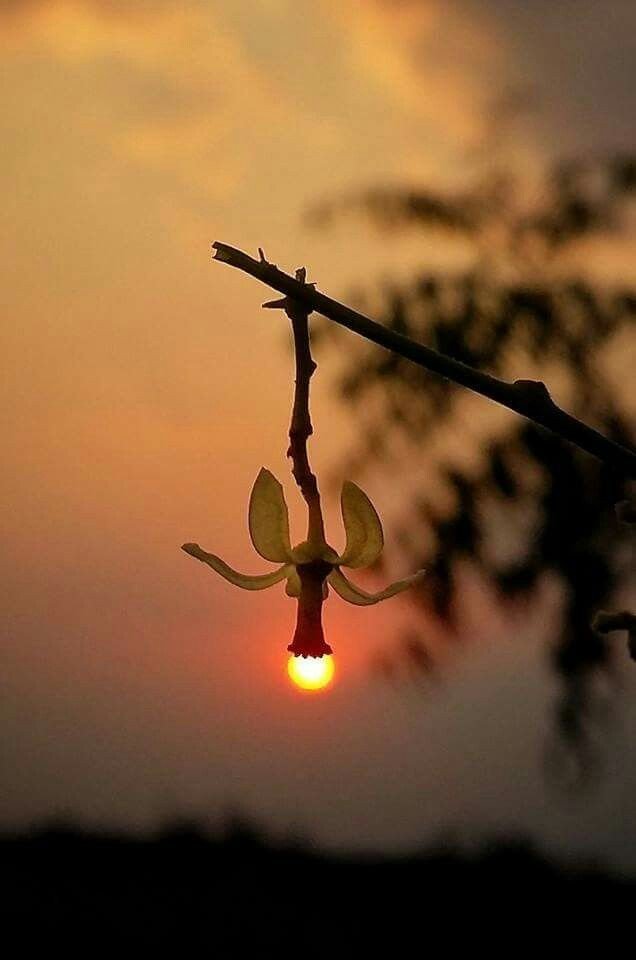 whatsapp dp attitude