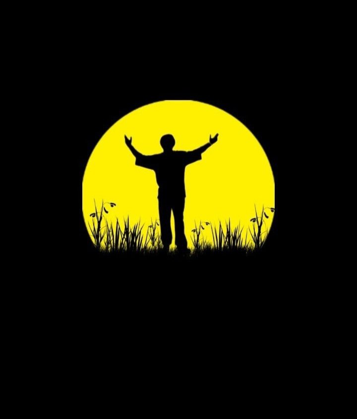 whatsapp dp new